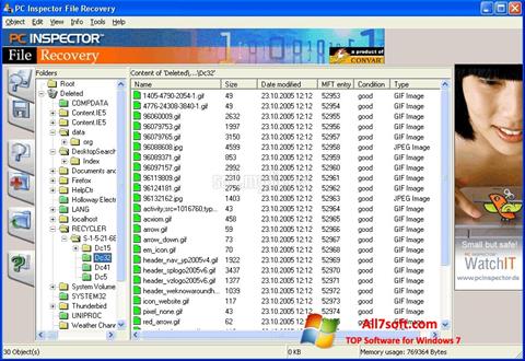 Ảnh chụp màn hình PC Inspector File Recovery cho Windows 7