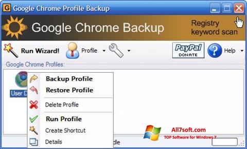 Ảnh chụp màn hình Google Chrome Backup cho Windows 7